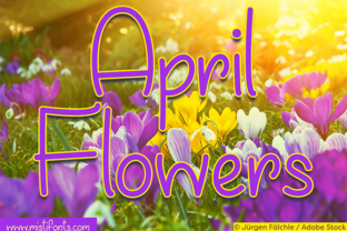 April Flowers: A Handwritten Font for Craft and Design