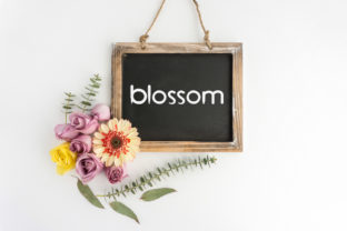 Blossom and Blossom: When a Sans Serif Font Becomes the Quiet Hero of Your Project