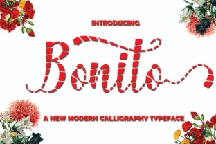 Bonito: A Playful Script Font for Creative Projects That Need Personality