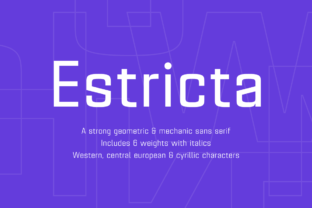 Estricta Family: A Geometric Sans Serif Built for Impact