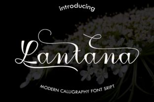 Lantana: A Modern Calligraphy Font Best Used with Intention