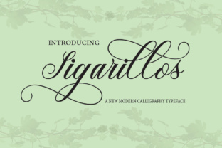 Sigarillos: A Calligraphy Script Font for Refined Design Workflows
